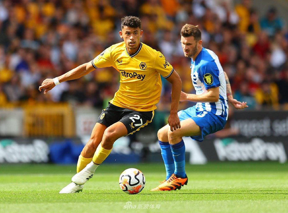 还是双打项 还是双打项